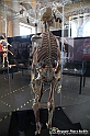 VBS_2838 - Mostra Body Worlds